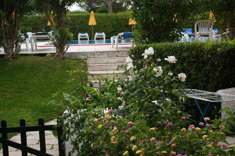 Hamilton Court Aparthotel Santo Tomás Εξωτερικό φωτογραφία